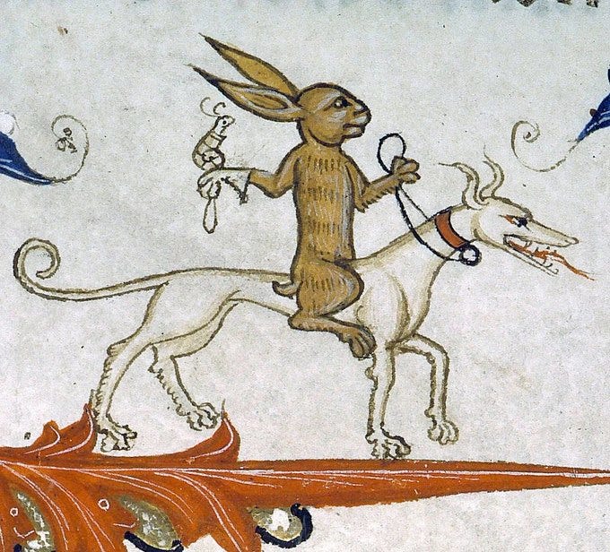 un dibujo medieval de un gran conejo montando un galgo blanco y gruñido. El conejo lleva un guante de cetrería, sobre el que se posa un caracol.