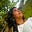 Avatar de Gabrielle Guido