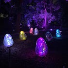 Make Time for Serendipity