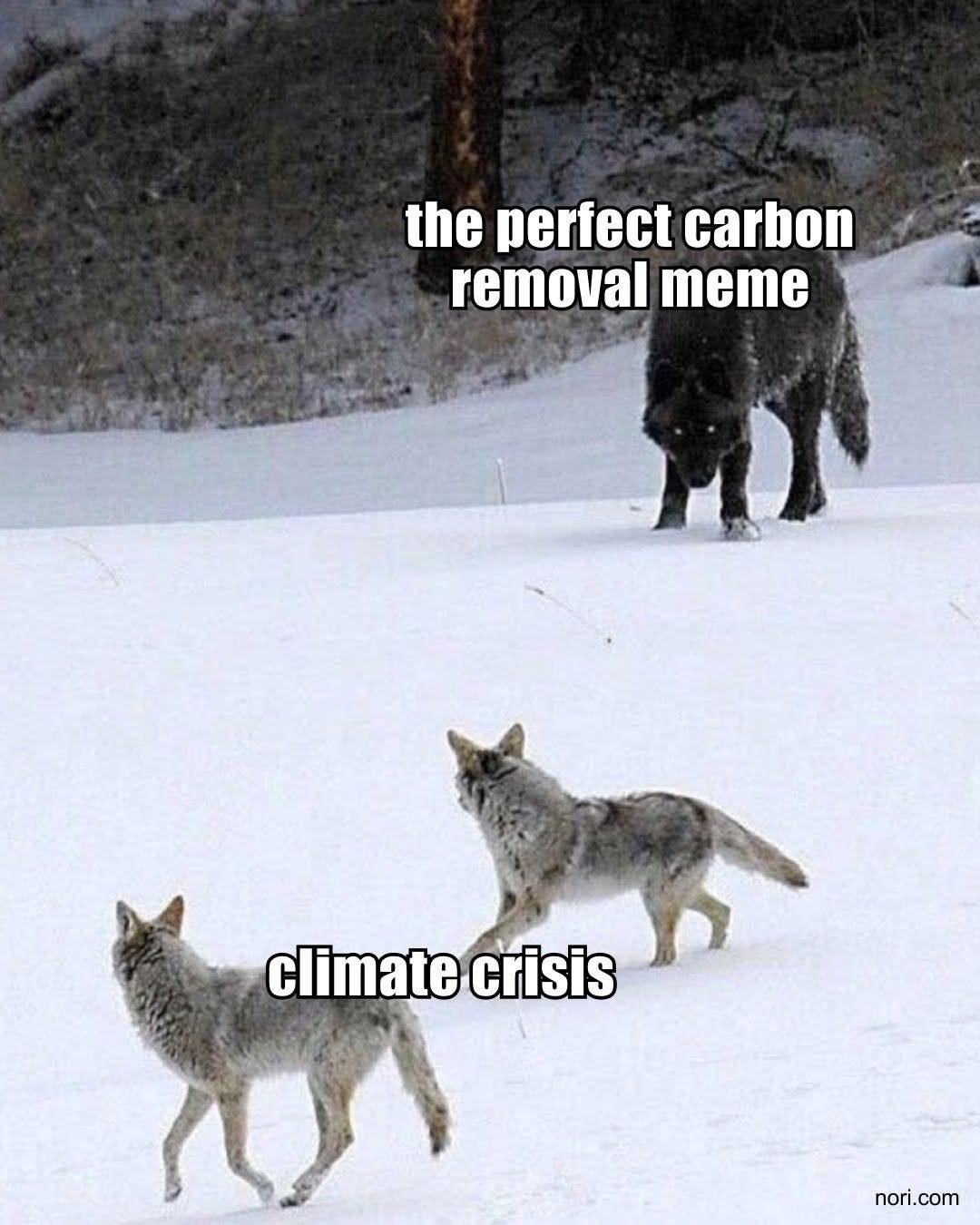 Snowy field with a dark wolf in the distance labelled "the perfect carbon removal meme" and two coyotes nearer, labelled "climate crisis".