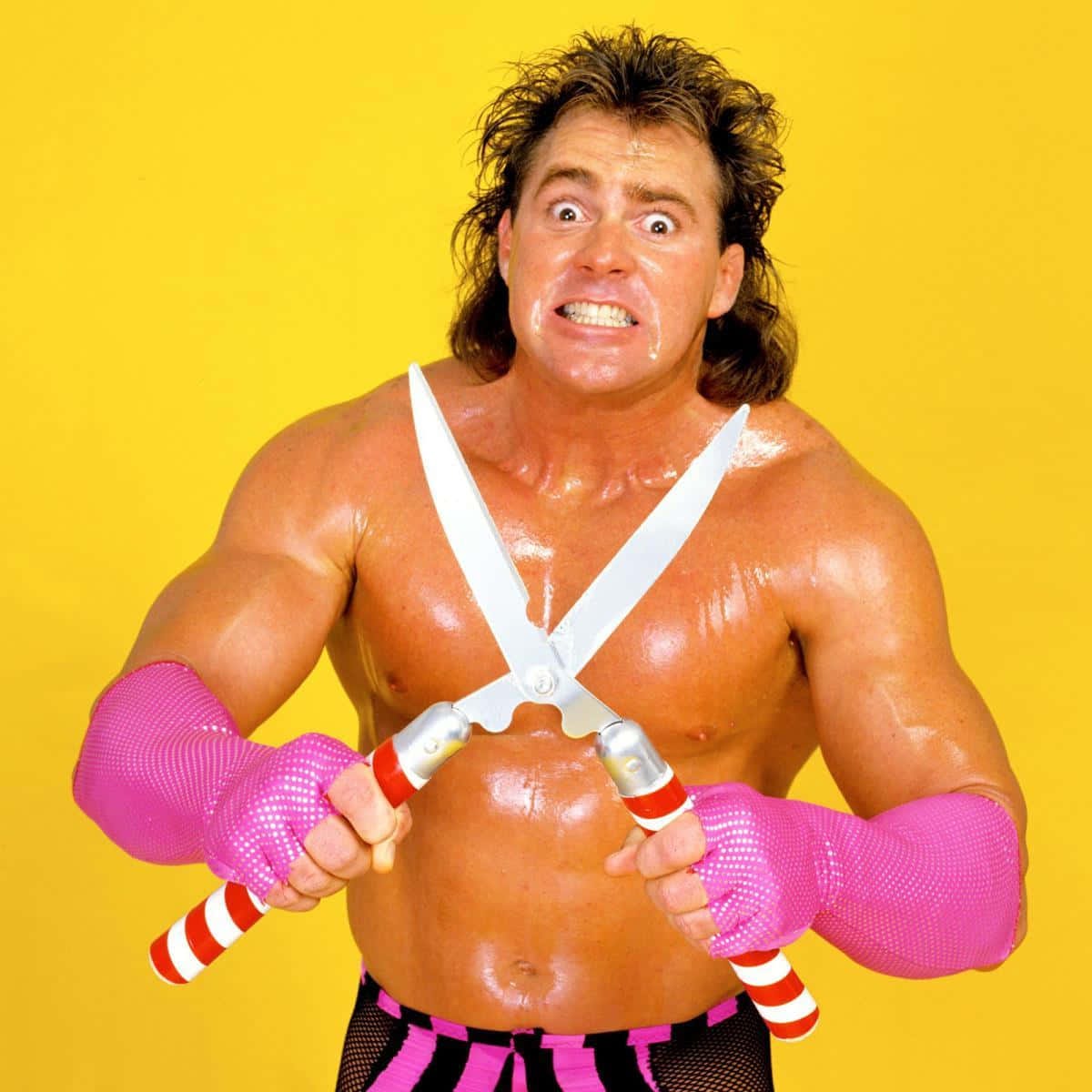 Download Wrestler Brutus Beefcake In His Prime Wallpaper | Wallpapers.com