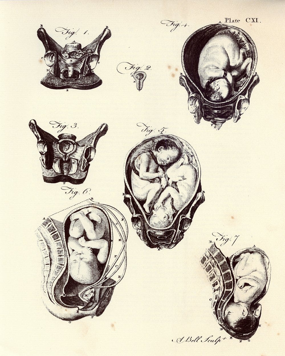 Black and white illustrations depicting pregnancy and childbirth