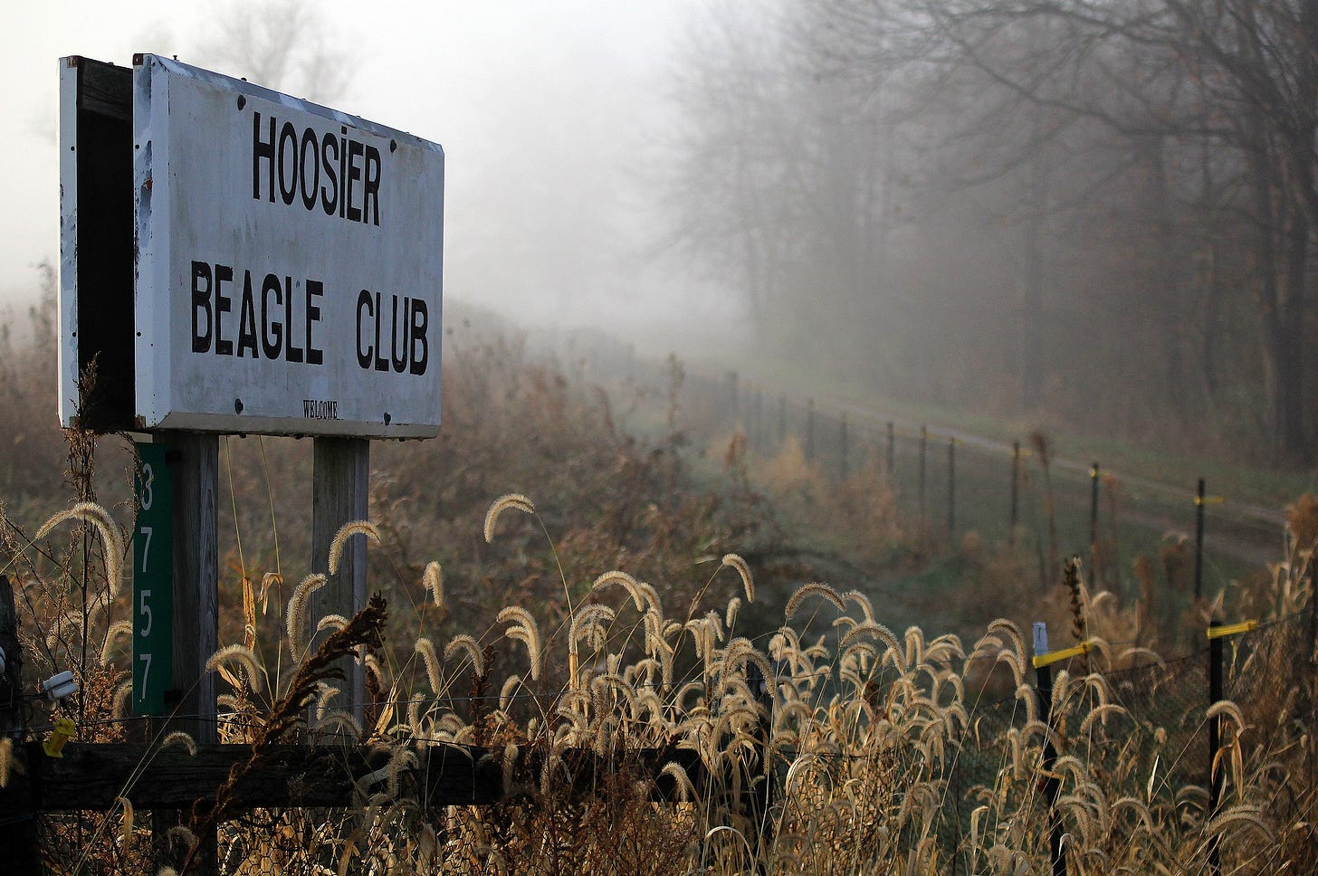 Morning Fog at the Beagle Club