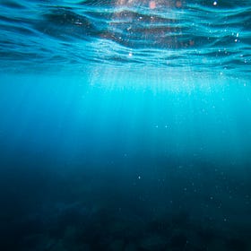 MDMA Therapy Helped Me Leave My Marriage