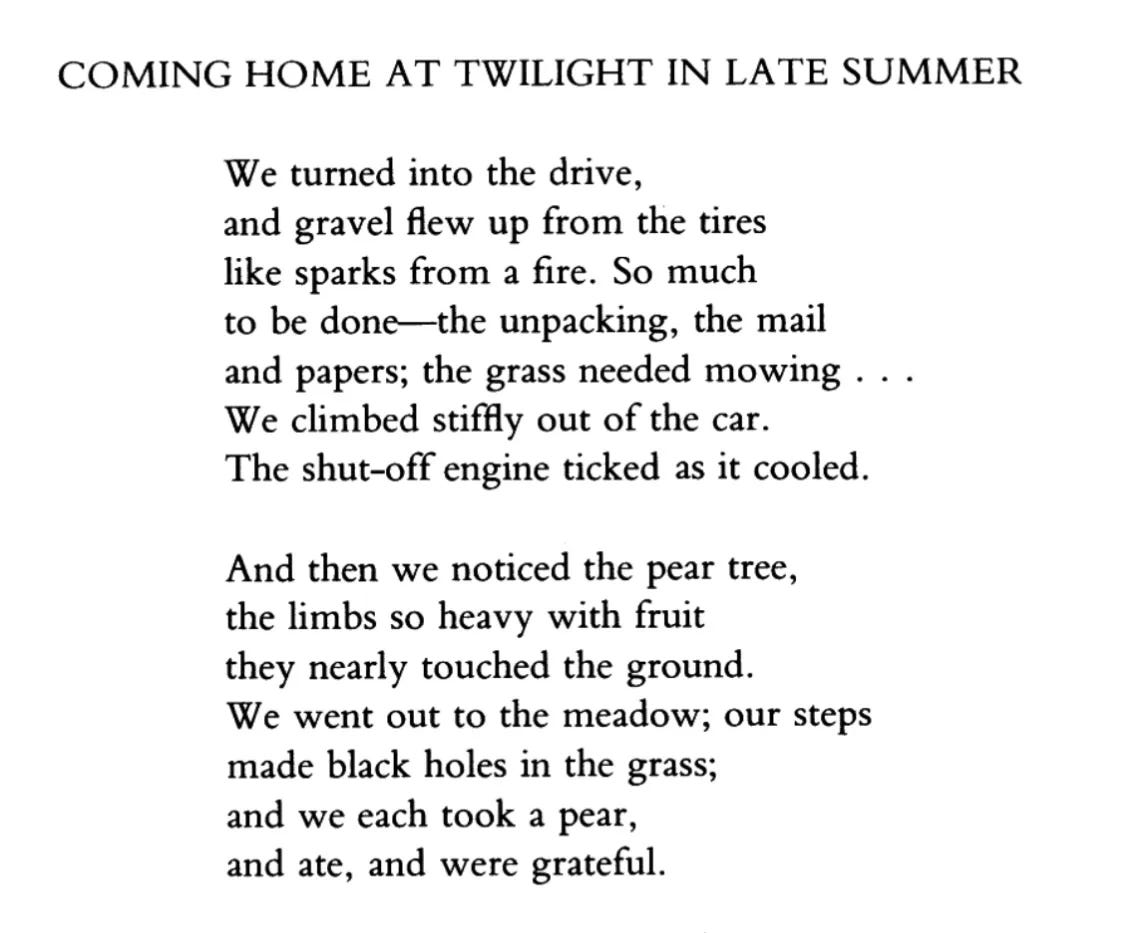 Weekend Poems Poems for Your Weekend - Maya C. Popa