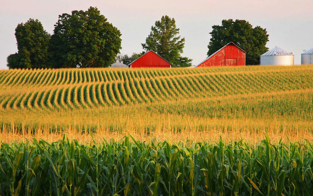 Cornfields - Grand Tactical Battles in the American Civil War