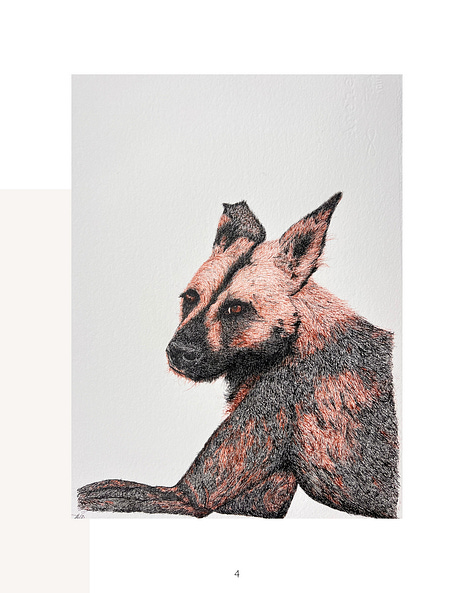 wildlife portraits, ink on paper