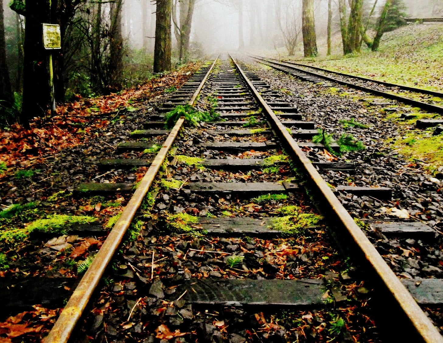 Two sets of train tracks, covered with moss on a gray day, heading into the mist with no clear terminus.