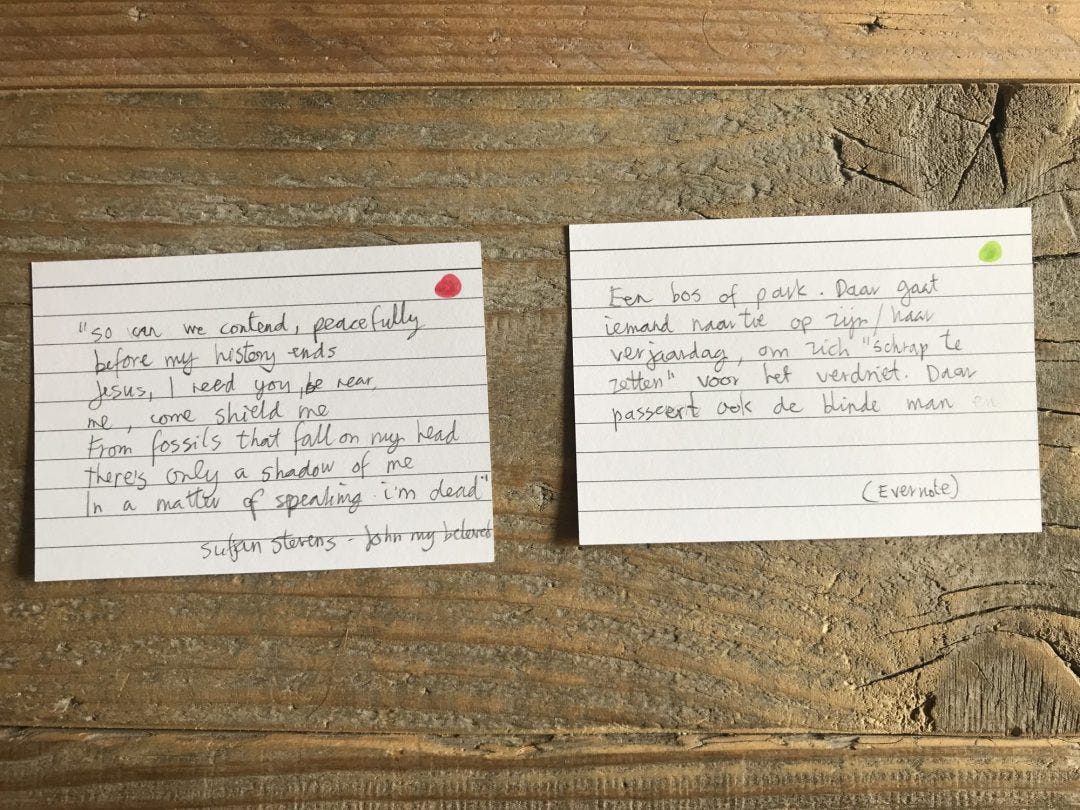 Twee van de indexkaartjes voor Amber.