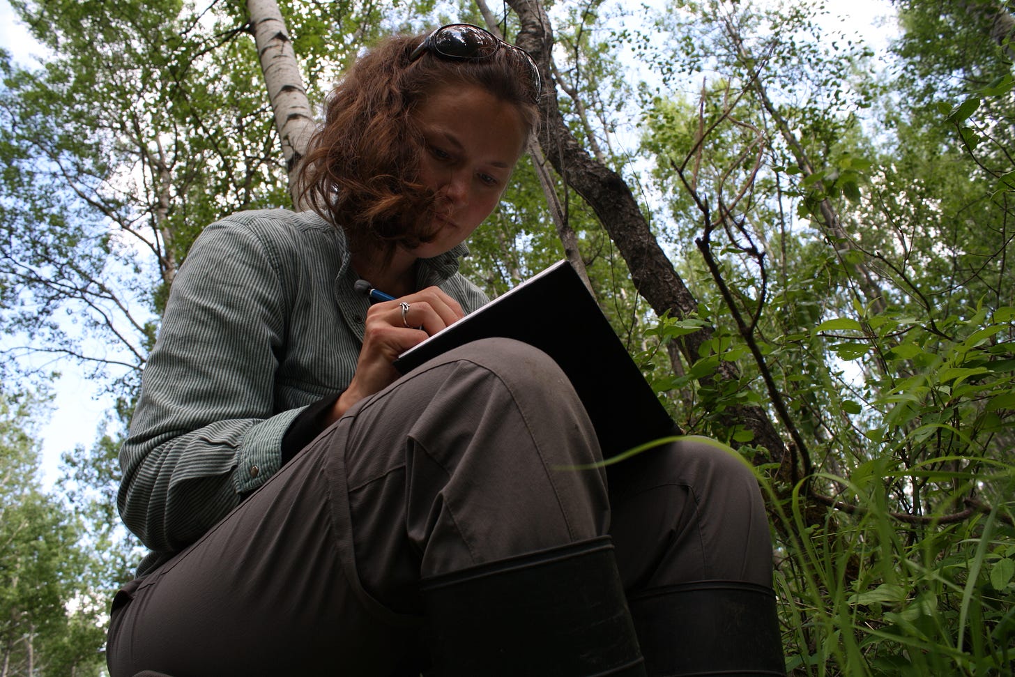 Camera angle is from the ground, looking up at a seated woman. The woman is writing in a notebook held on her lap. The woman is dressed in field clothes (tall rubber boots, hiking pants, long-sleeved shirt). The woman is seated in a dense, deciduous forest. Camera angle is from the ground, looking up at a seated woman. The woman is writing in a notebook held on her lap. The woman is dressed in field clothes (tall rubber boots, hiking pants, long-sleeved shirt). The woman is seated in a dense, deciduous forest.