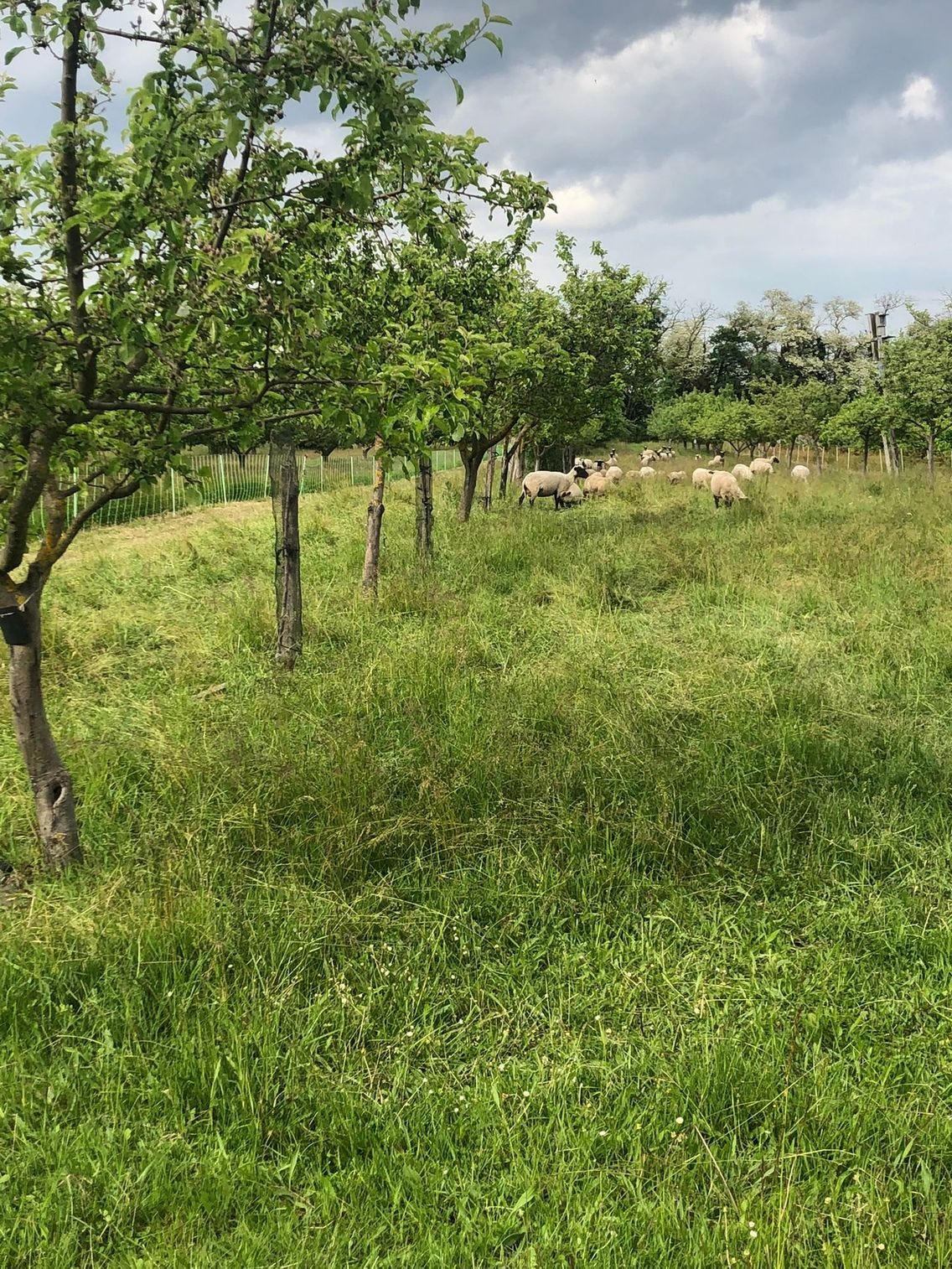 La ferme du Grand Laval