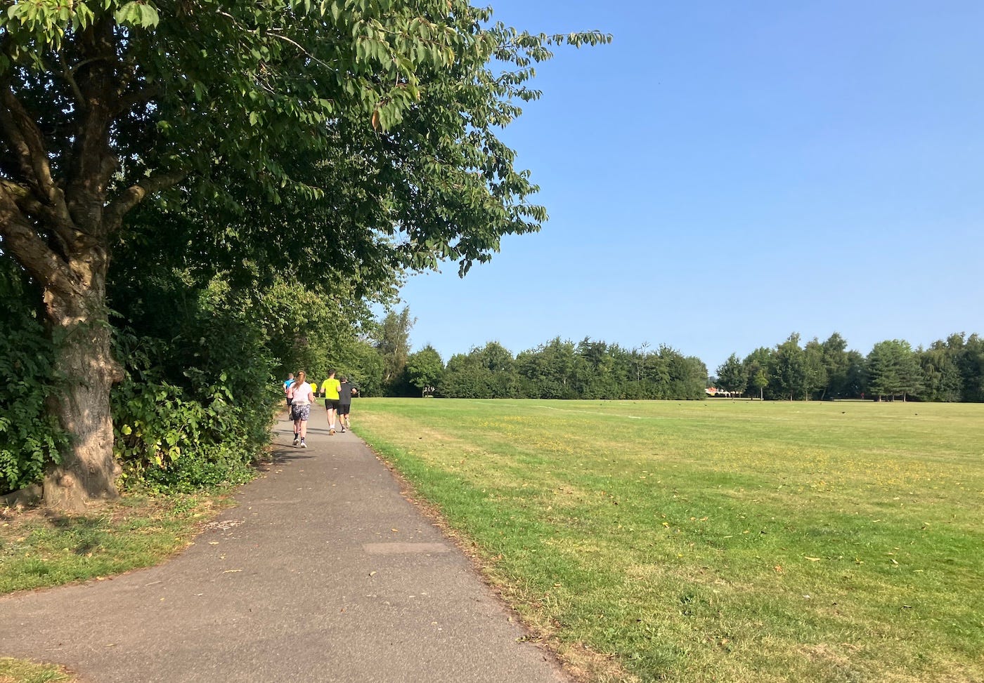 Runners on a path, passing trees on the left and a field on the right
