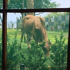 Sustainable Nomadism: Balancing Business and a Life in Motion