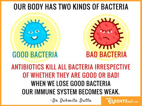 Antibiotics kill all bacteria - good and bad - What Parents Ask Antibiotics kill all bacteria - good and bad - What Parents Ask