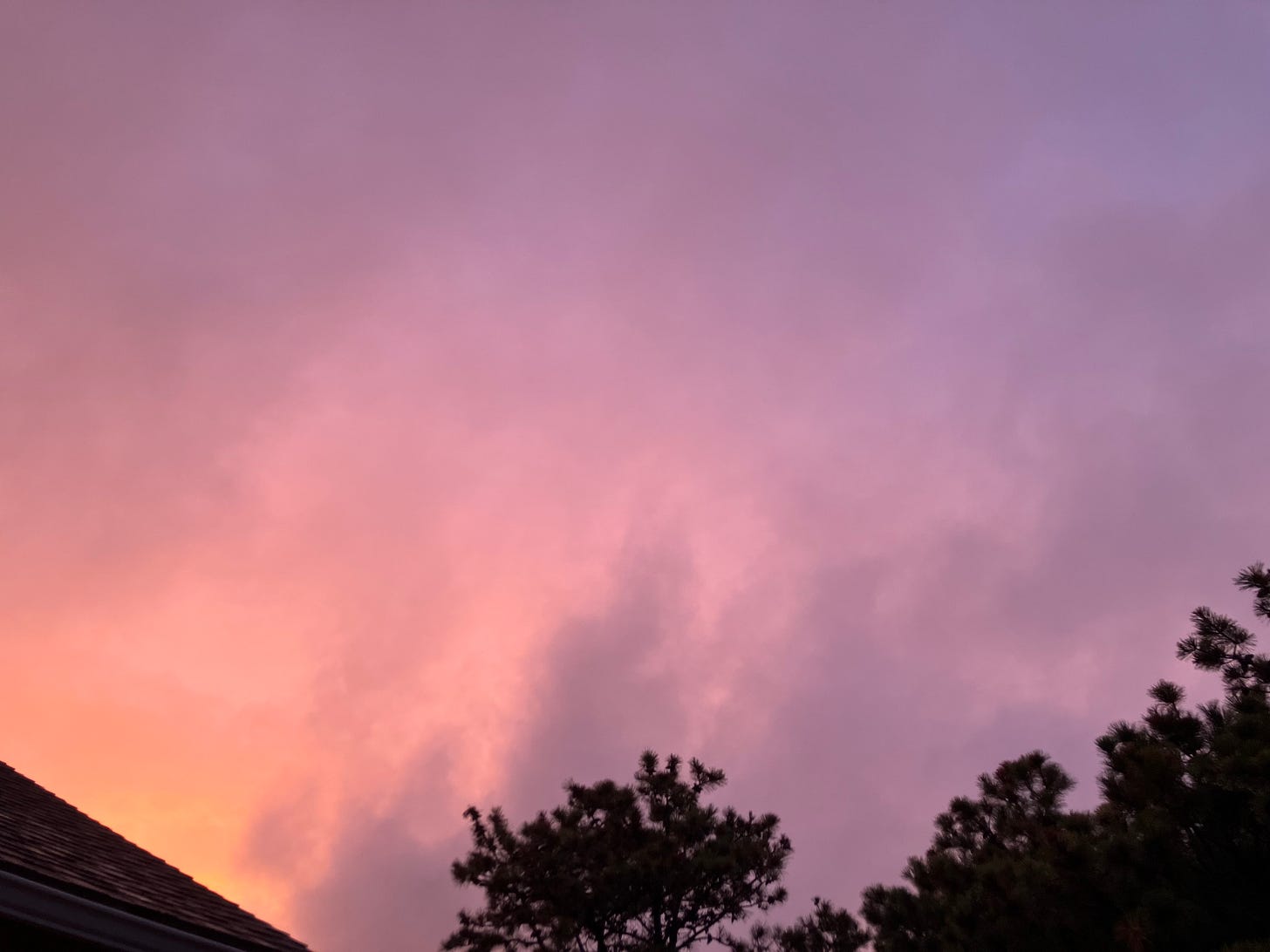 purple sky over rooftop with dark trees