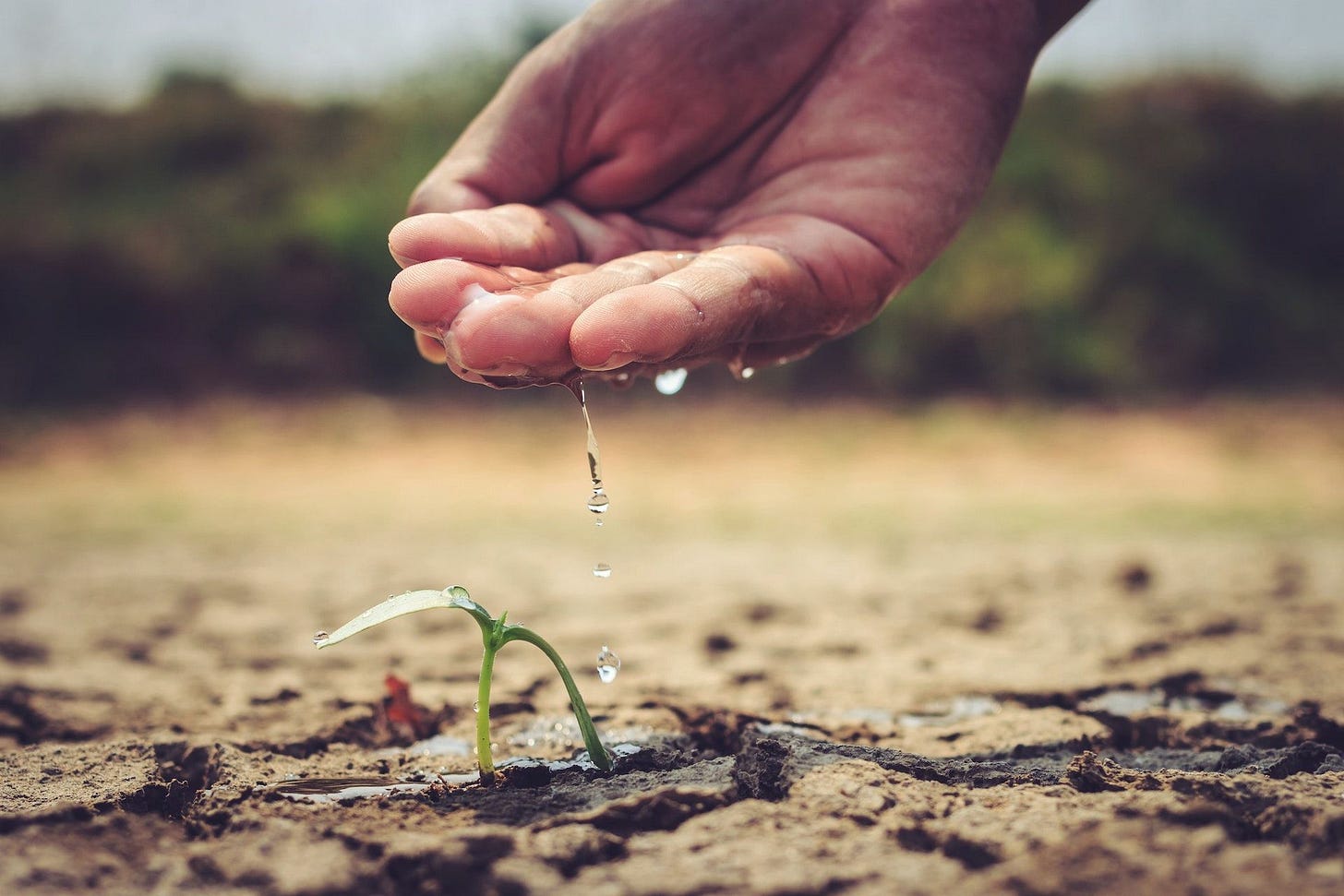 Cultiver le respect inconditionnel par l’acuité relationnelle et contextuelle. Cultiver le respect inconditionnel par l’acuité relationnelle et contextuelle.