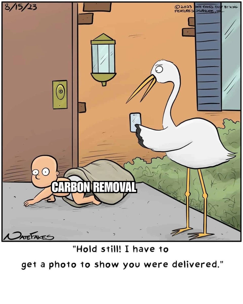 Single-panel cartoon dated 8/15/23. A stork stands on a doorstep holding up a phone to photograph a baby, labelled "CARBON REMOVAL", crawling out of a sack. Caption: "Hold still! I have to get a photo to show you were delivered."