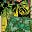 Corey A. Aguilar's avatar
