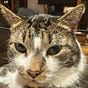 vtSpinner's avatar