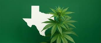 Texas House Bill 46 (HB 46): Medical ...