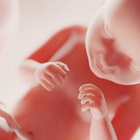 PFIZER KNEW: mRNA Nanoparticles Attack Baby Boys’ Testes, Damaging Masculinity and Fertility for Generations