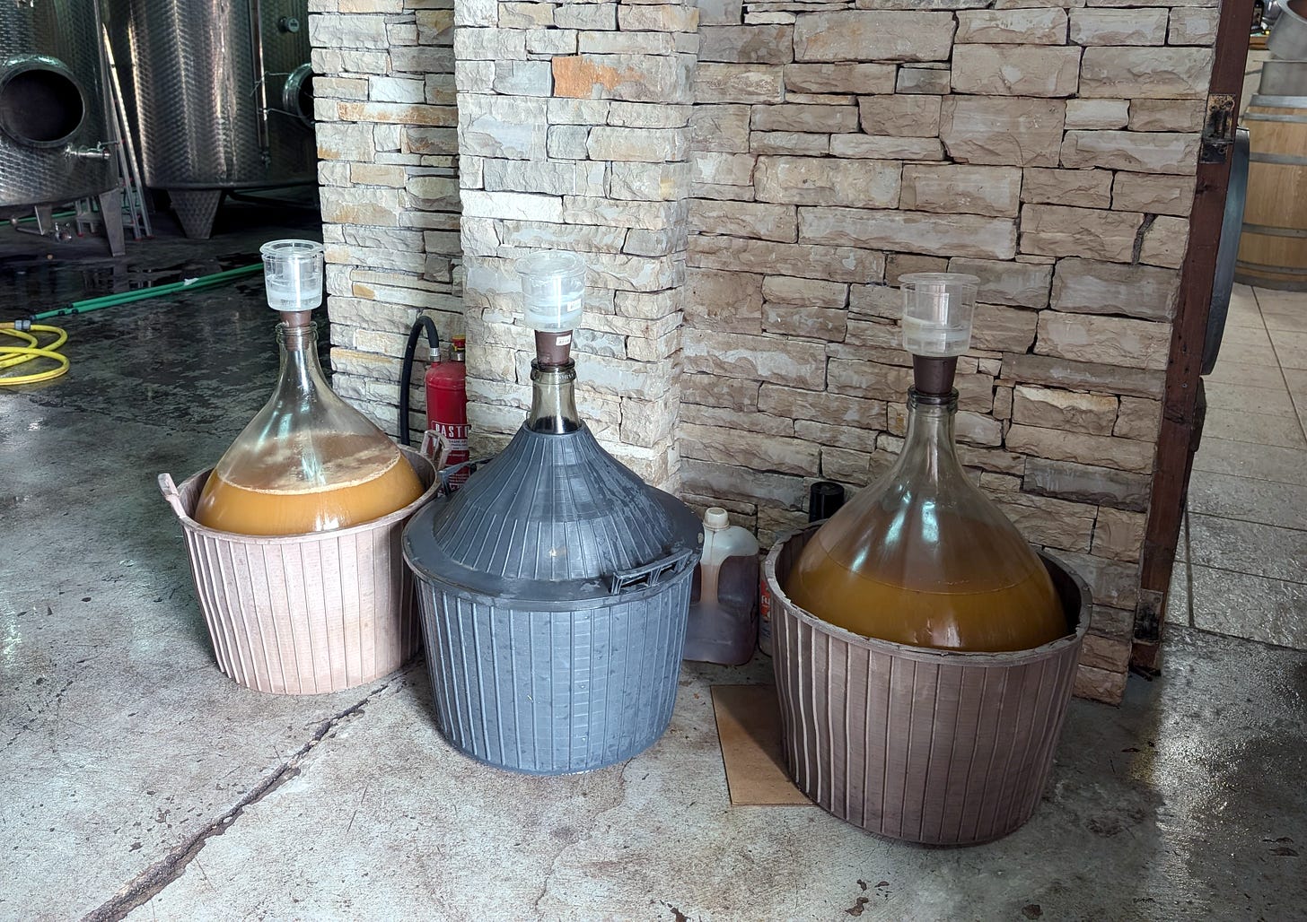 Žilavka fermenting in demi-johns. Photo: Simon J Woolf