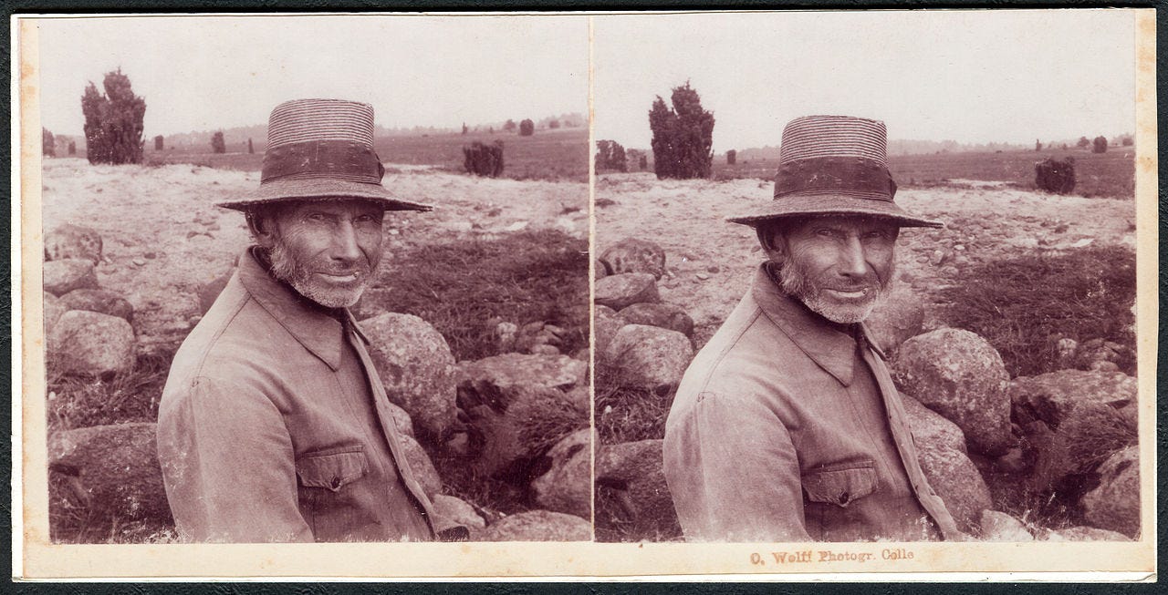 Otto Wolff, stereoscopic photograph of a shepherd on Lüneberg Health, Germany