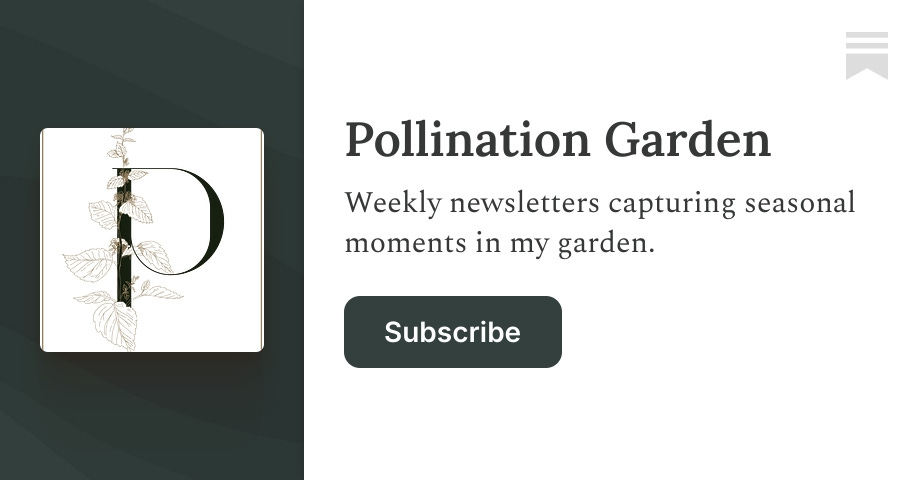 Pollination Garden | Mel Adams | Substack