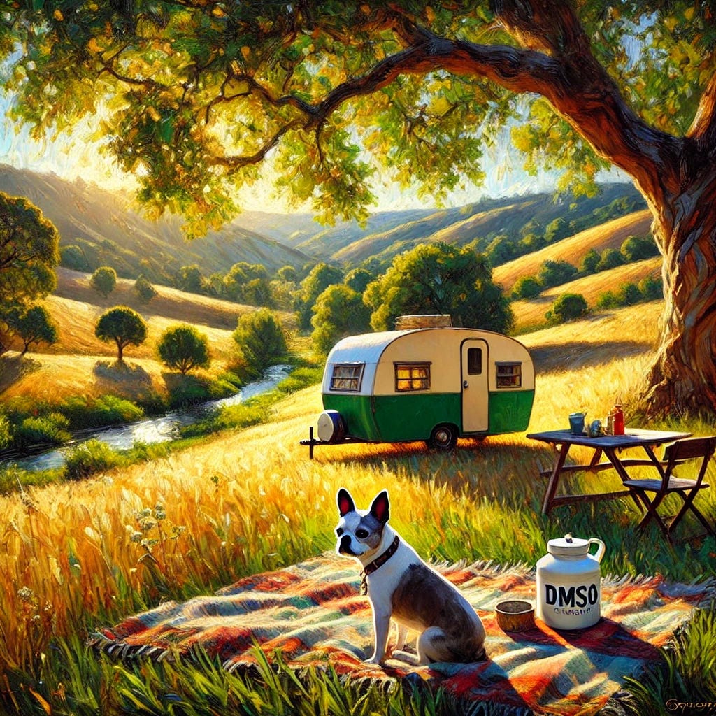 An impressionist oil painting of a serene, sunlit meadow with a small camper trailer nestled under the shade of a large, vibrant tree. Nearby, a dog with a compact body, upright ears, and a distinctive gray-and-white fur pattern similar to a Boston Terrier or mixed breed rests contentedly on a blanket near the camper, gazing out across the meadow. On a picnic table close to the camper, a small, distinct jar of DMSO cream is placed, subtly catching the sunlight. In the distance, rolling hills are bathed in warm hues of amber and green, with a gentle stream winding its way through the scene, reflecting the golden light of a late afternoon. Bold, expressive brushstrokes capture the interplay of light and texture, emphasizing vitality and the beauty of nature. The color palette features vibrant greens, golds, and soft blues, creating a rejuvenating and harmonious atmosphere. An impressionist oil painting of a serene, sunlit meadow with a small camper trailer nestled under the shade of a large, vibrant tree. Nearby, a dog with a compact body, upright ears, and a distinctive gray-and-white fur pattern similar to a Boston Terrier or mixed breed rests contentedly on a blanket near the camper, gazing out across the meadow. On a picnic table close to the camper, a small, distinct jar of DMSO cream is placed, subtly catching the sunlight. In the distance, rolling hills are bathed in warm hues of amber and green, with a gentle stream winding its way through the scene, reflecting the golden light of a late afternoon. Bold, expressive brushstrokes capture the interplay of light and texture, emphasizing vitality and the beauty of nature. The color palette features vibrant greens, golds, and soft blues, creating a rejuvenating and harmonious atmosphere.