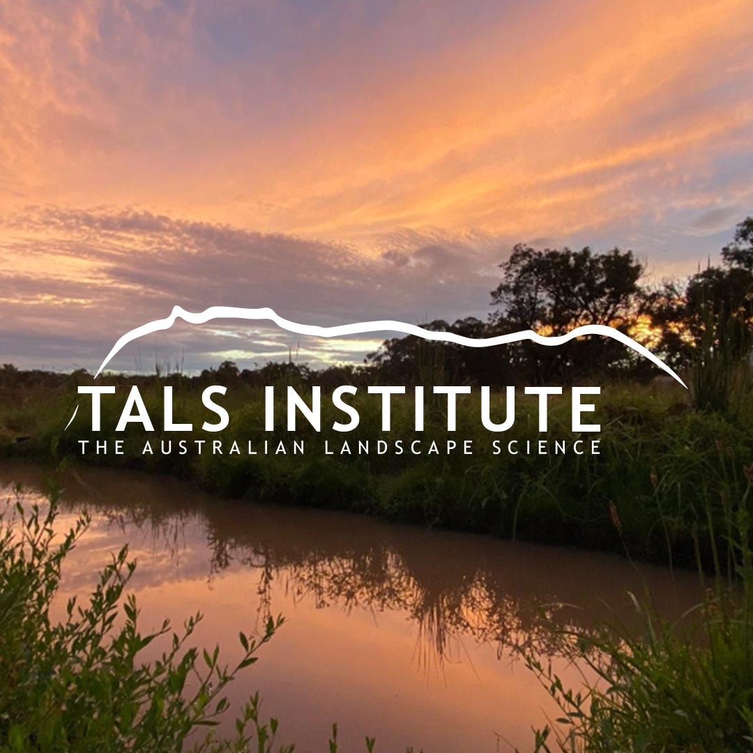 Artwork for TALS Institute Substack
