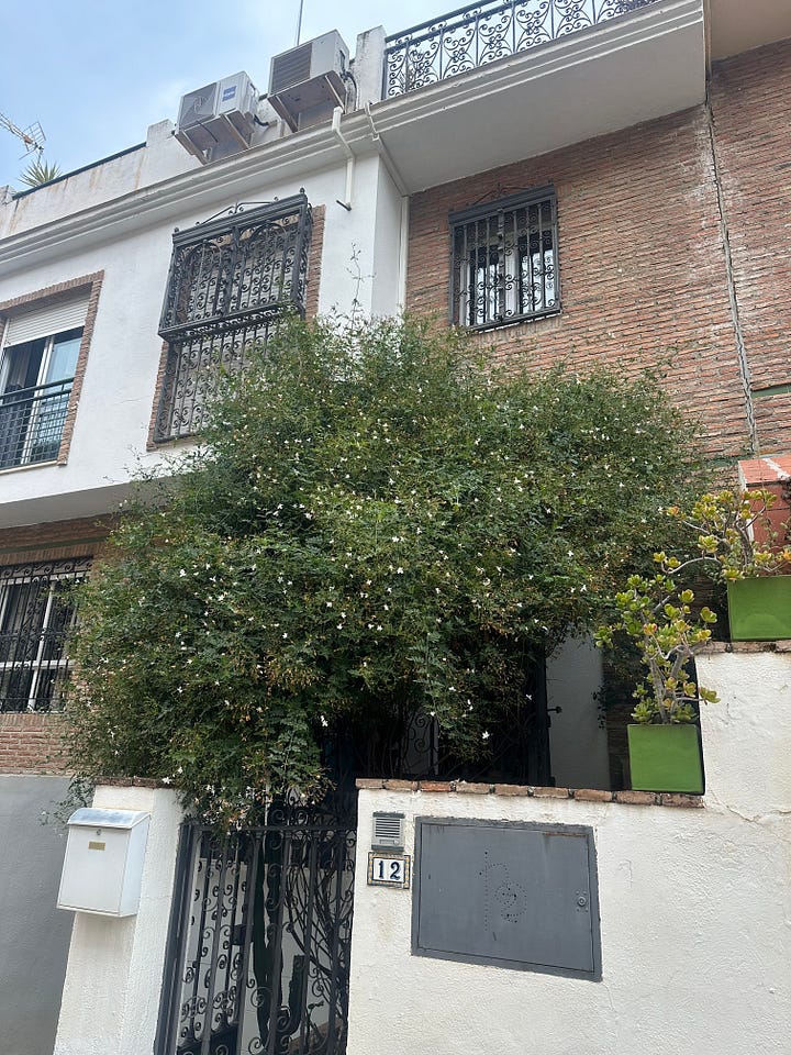 My old house and one of the parties. 