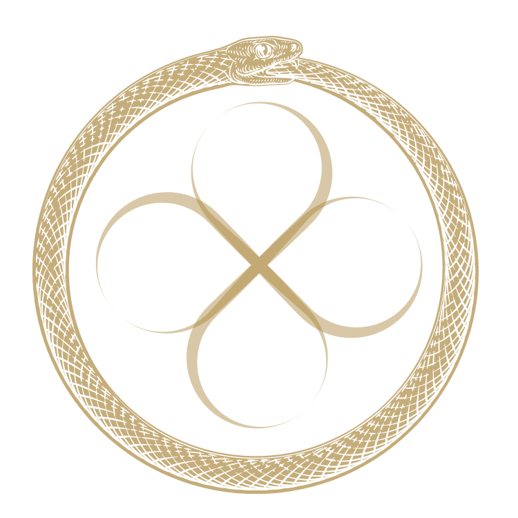 In Conversation with Life