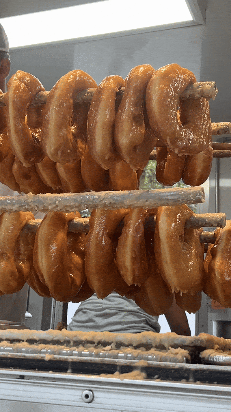 IMG_2920.MOV [optimize output image]