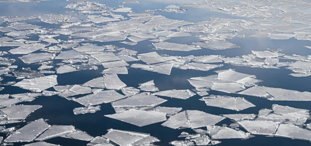 an aerial view of ice floes in the ocean