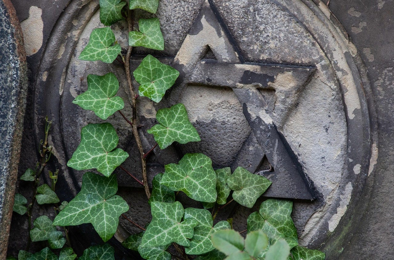 a star of david on a gravemarker, partially covered with ivy