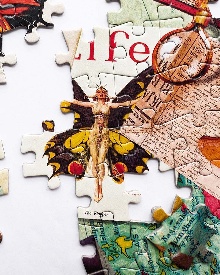 Buffalo Games The Butterfly Collector Jigsaw Puzzle