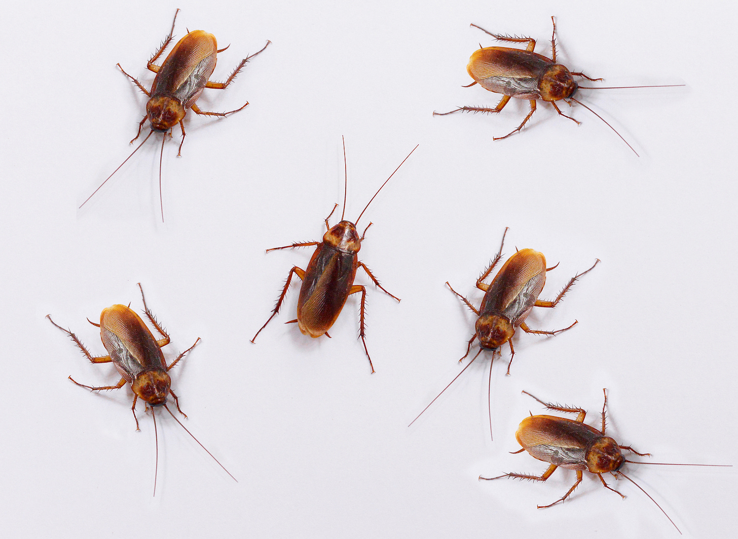 Image: SNP_SS / shutterstock.com
