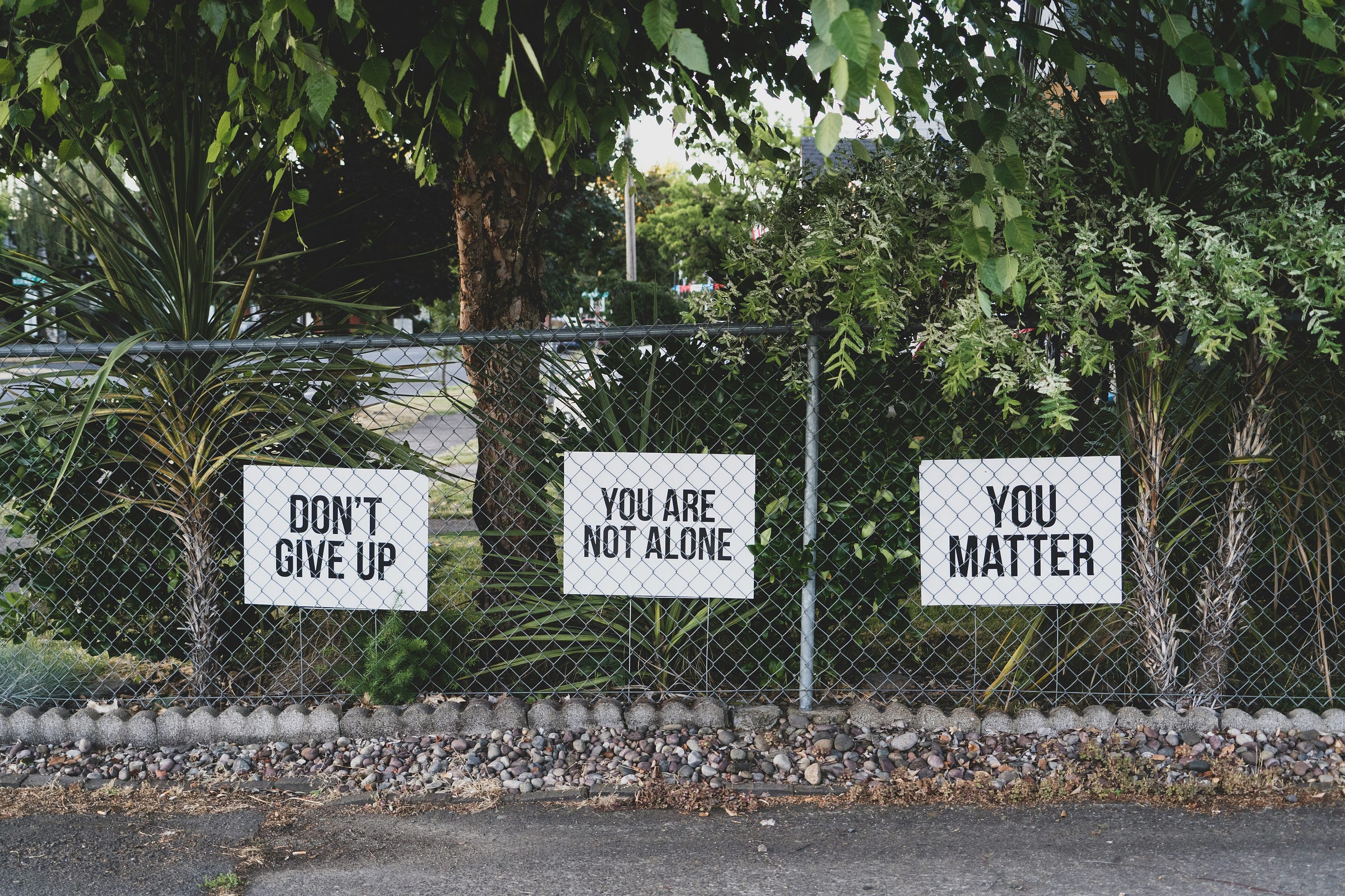 don't give up, you are not alone, you matter signs on chain link fence with tropical trees behind Poto by Dan Meyers on Unsplash