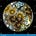 KB's  FROM THE PETRI DISH's avatar