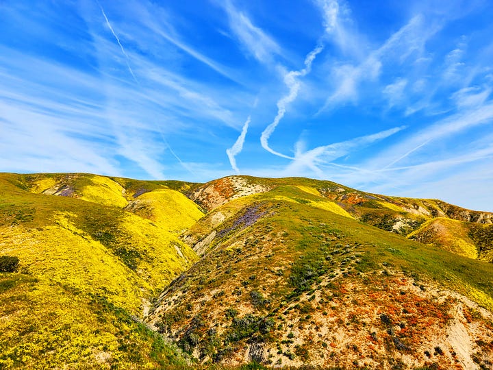 Fields and hills covered in grass and many colors of wildflowers, patched together under semi-clear skies