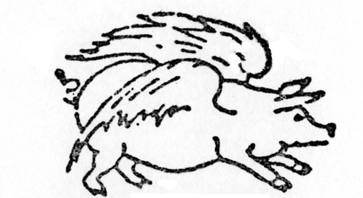 Pigasus Pigasus