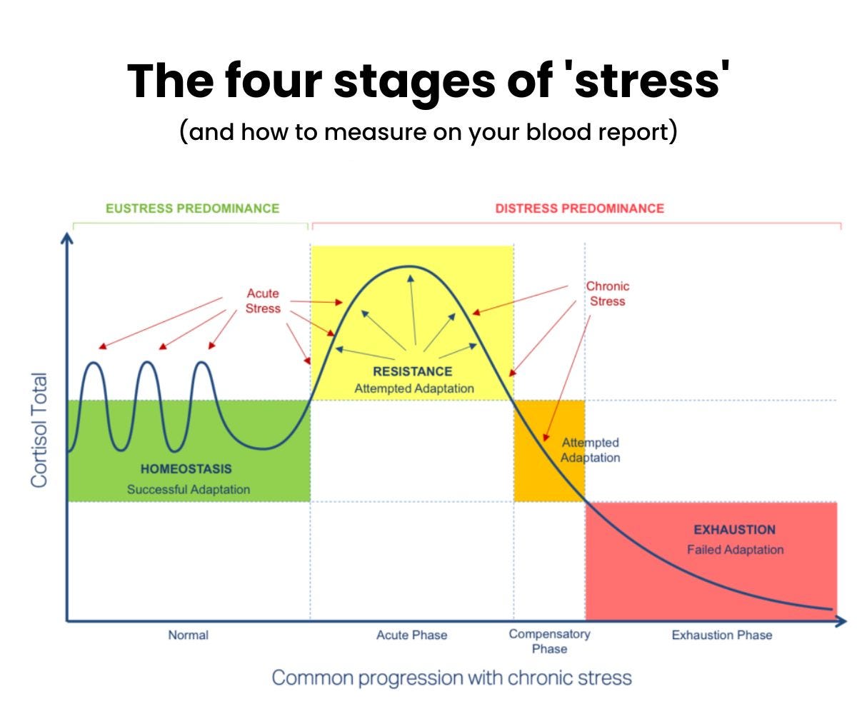 Cod Stress What Burnout Actually Does to Your Brain (The Neuroscience of Chronic ...