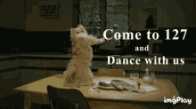 127 GIF - 127 - Discover & Share GIFs