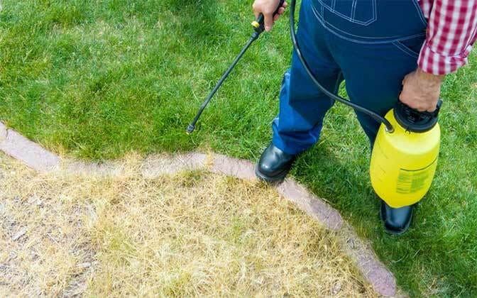 How to Kill Grass Lawns Permanently and Start Over (or Not)