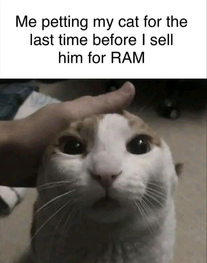 Why ram prices shooting up lately 😭 : r/memes