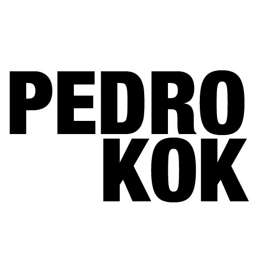 Pedro Kok, fotografia e arquitetura