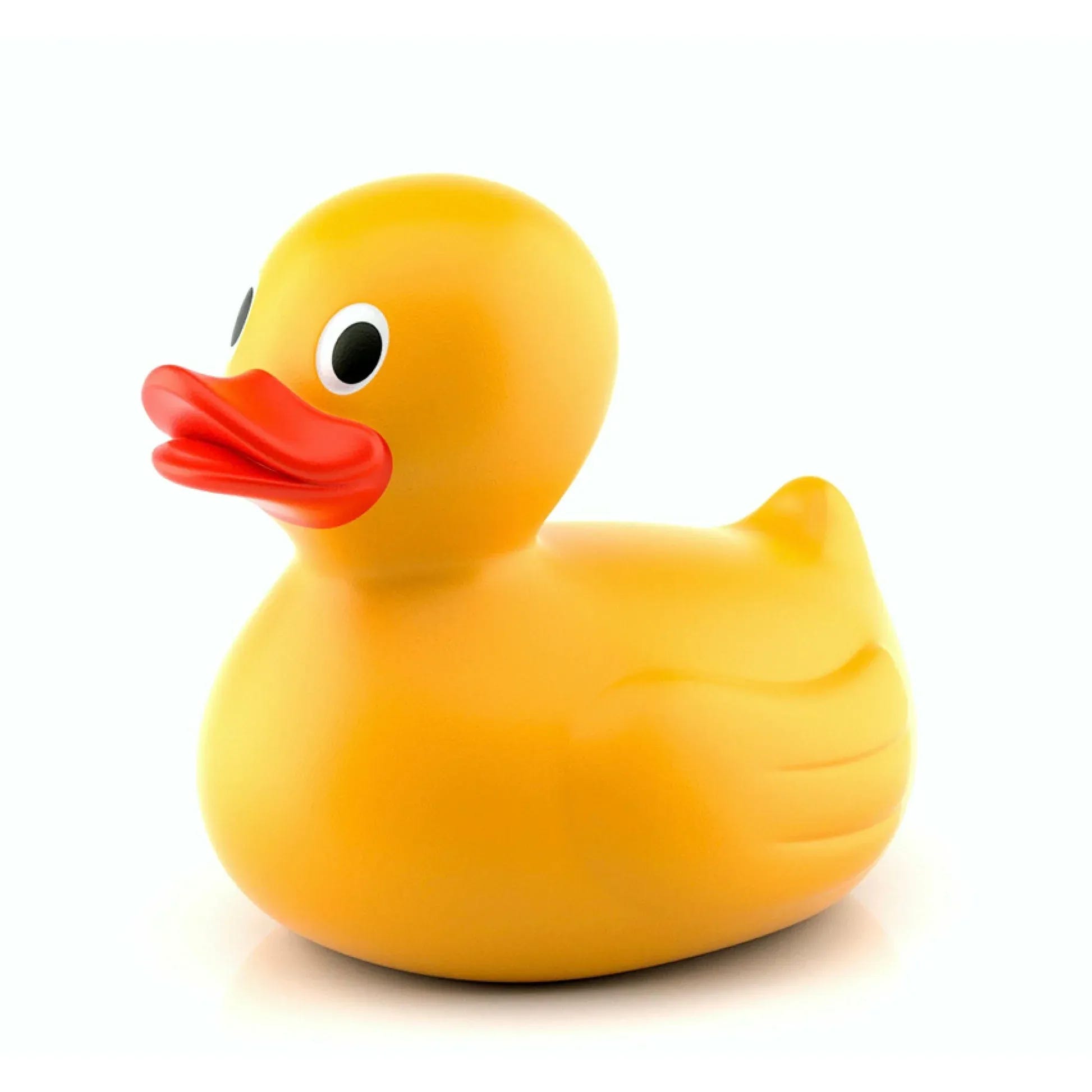 jeanquack, PhD