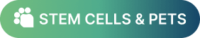 Stem Cells and Pets
