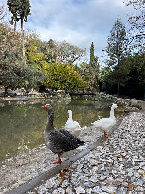 Walks at Athens National Garden