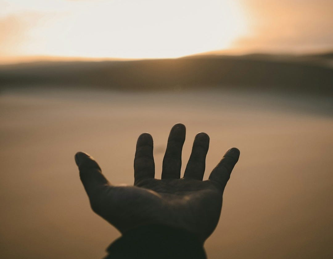 person's hand person's hand